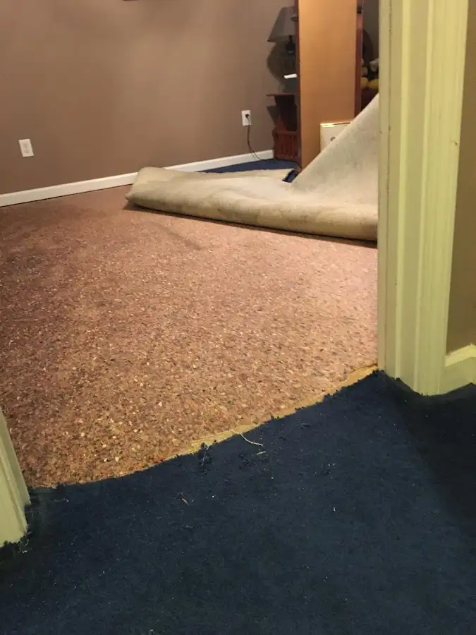 Carpet pad removal revealing water damage during Water Mitigation Services in Raceland