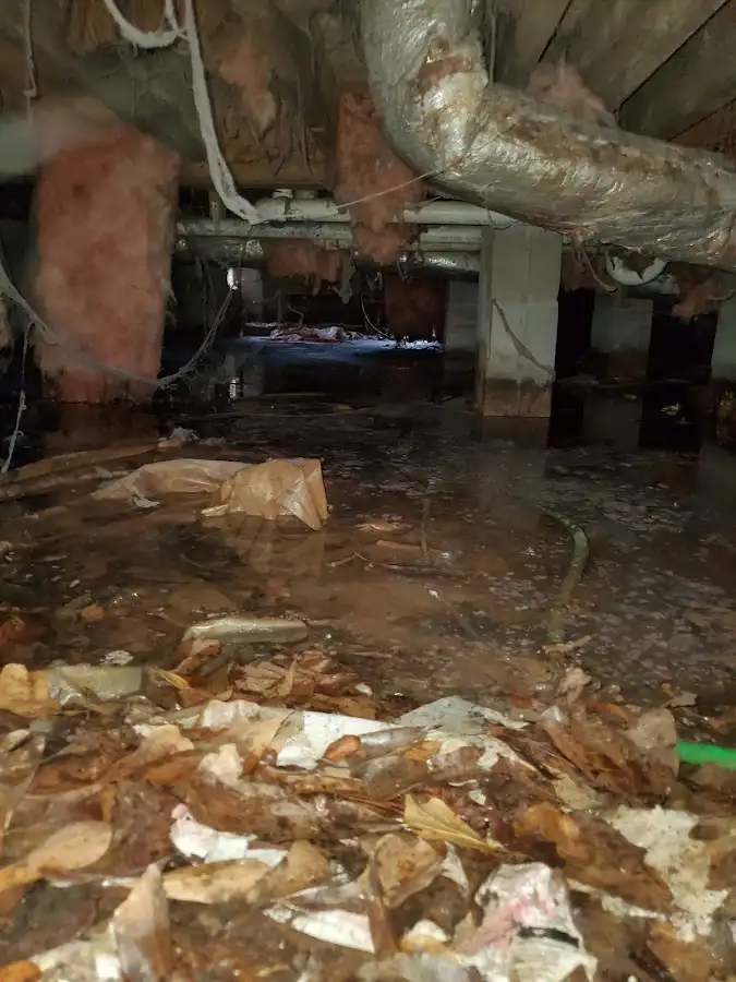 Crawl space flood assessment for Leak Detection & Repair in Raceland